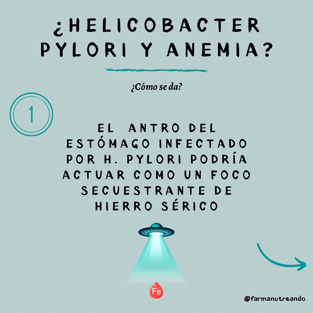 Helicobacter pylori y anemia ferropénica?🧐🩸